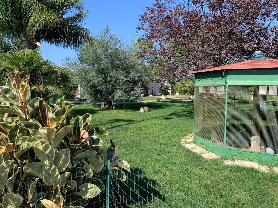 Ricciardulli Rooms Policoro Exteriör bild